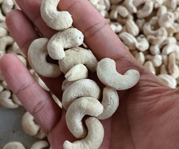 Produk Kacang Mete Utuh Grade Super